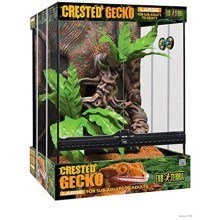 Crested Gecko Habitat Kit (1)